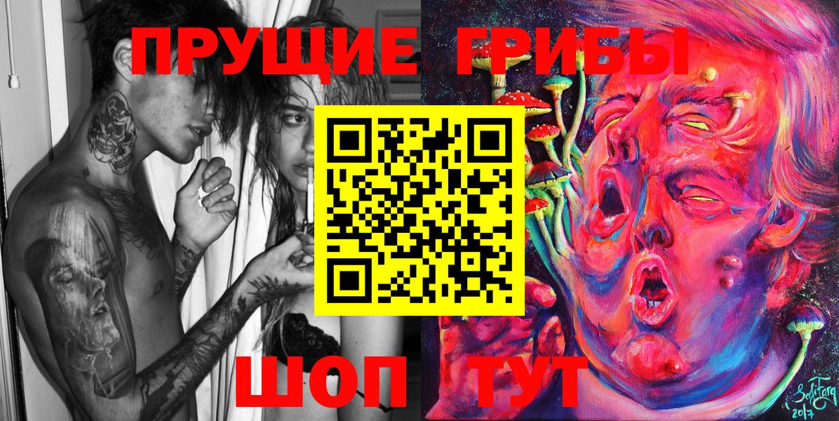 Заводоуковск  Псилоцибиновые грибы Psilocybe  Вход с VPN 