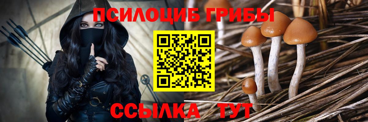 Псилоцибиновые грибы Magic Shrooms Заводоуковск